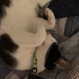 Meet your Posher, Emily